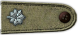  Lieutenant Colonel 